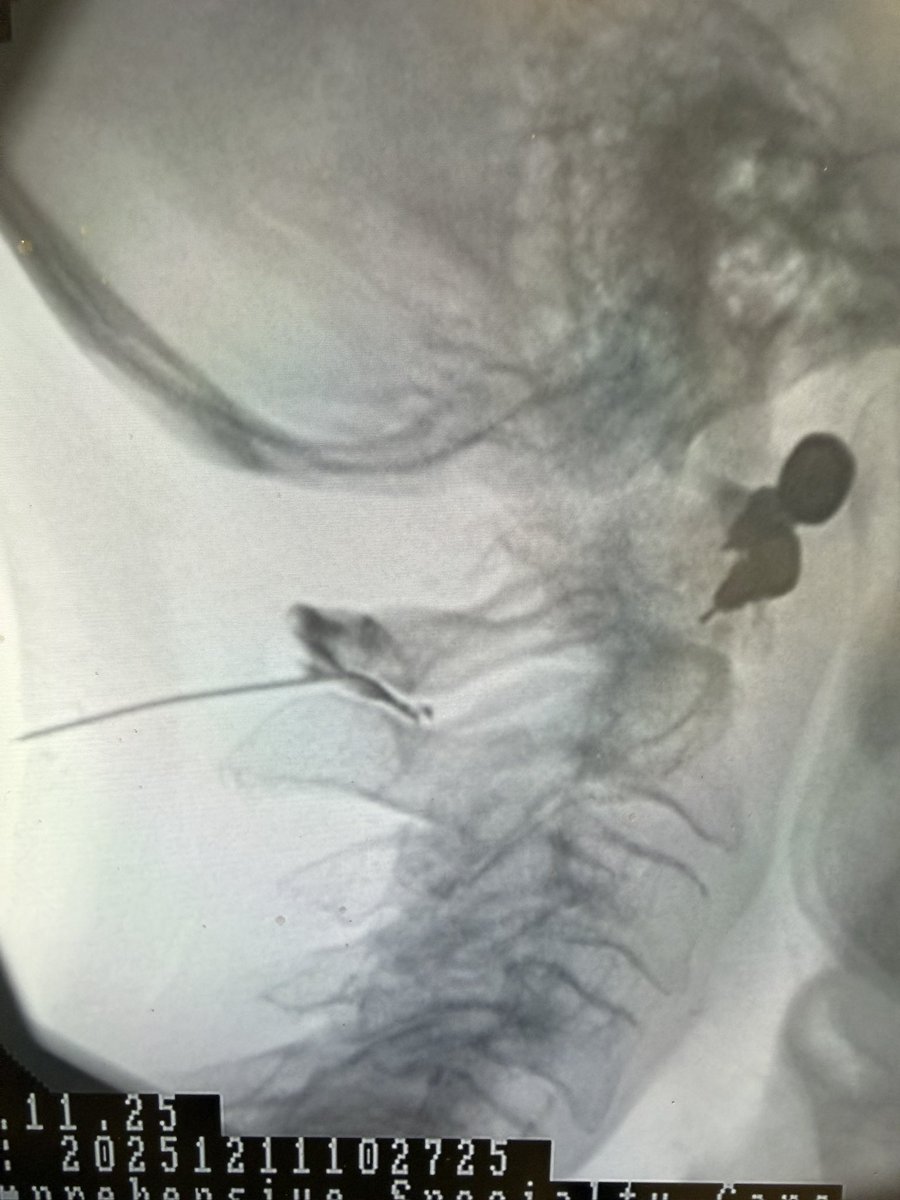 Douglas Beall tweet media