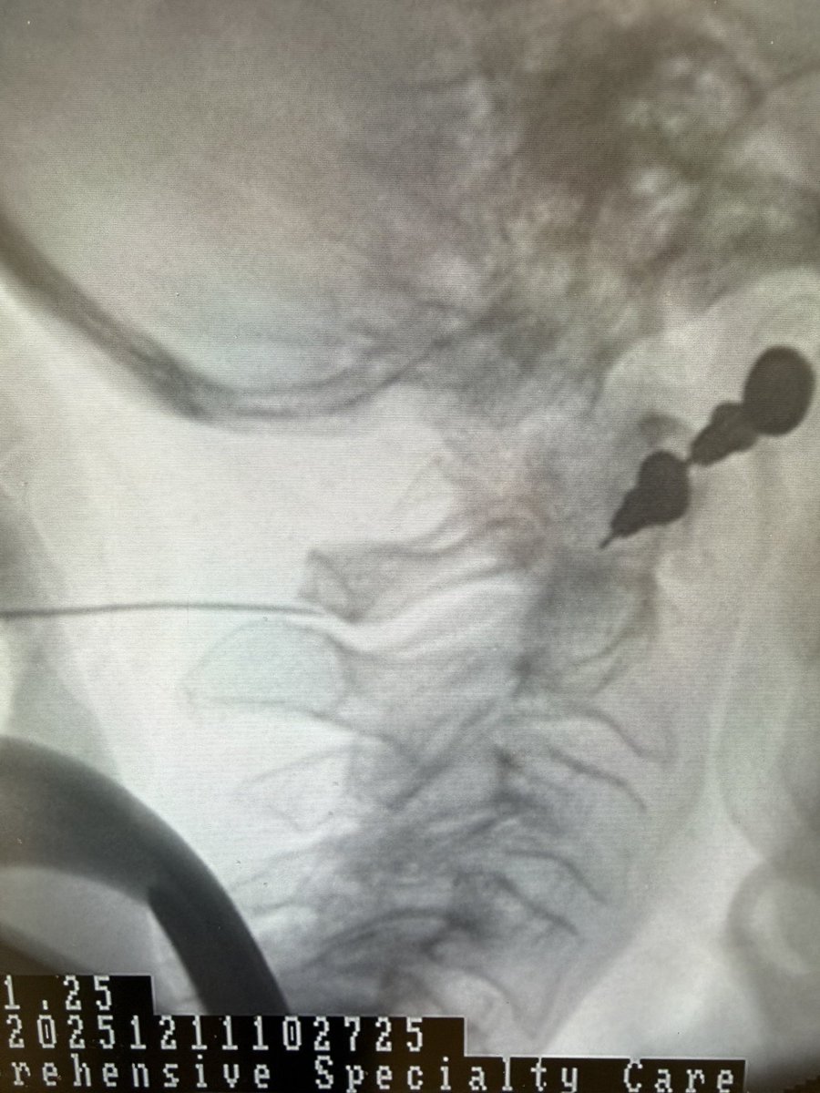 Douglas Beall tweet media