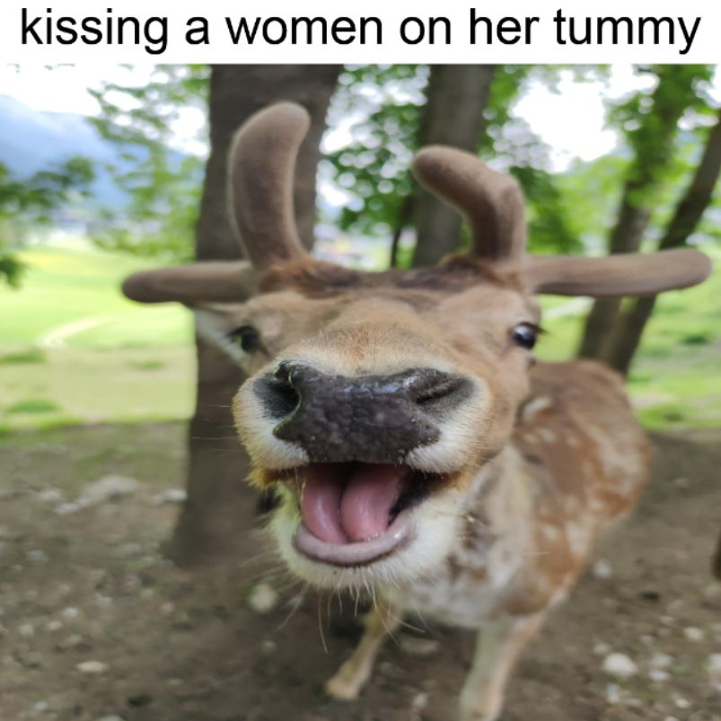 deertexting's tweet photo. https://t.co/EMqmigumOj