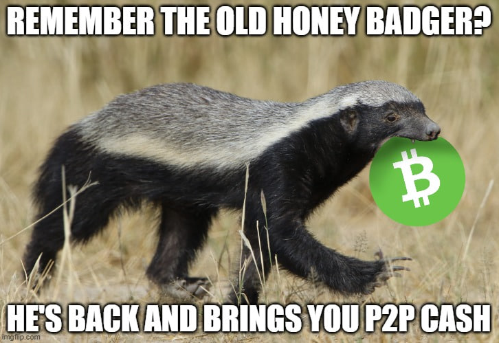 Crypto believer tweet media