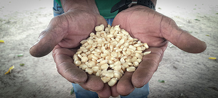 La Inventadera tweet media