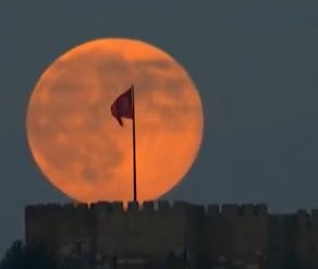 musa güldibi (@musaguldibi) on Twitter photo 