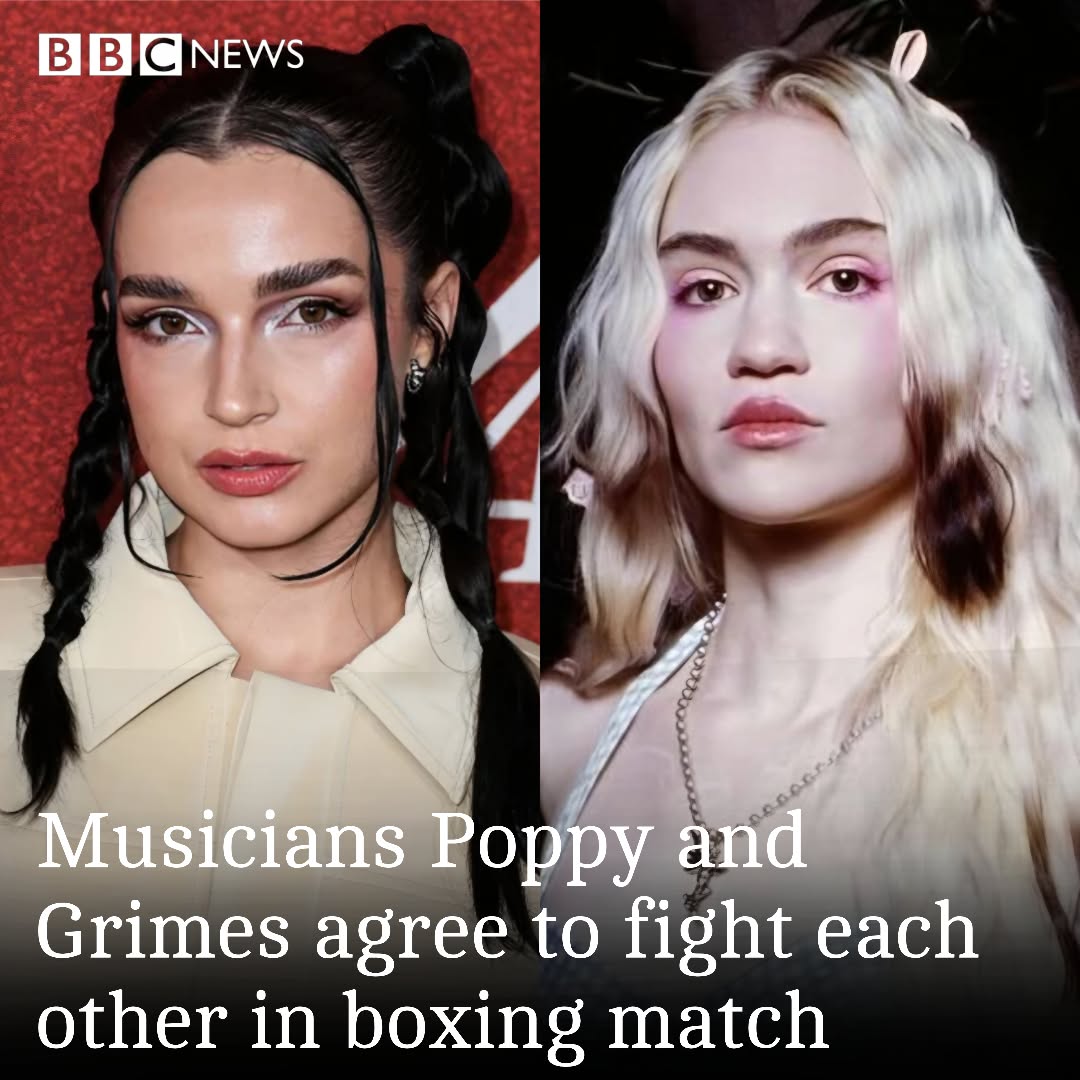 Poppy Base (@p0ppybase) on Twitter photo 