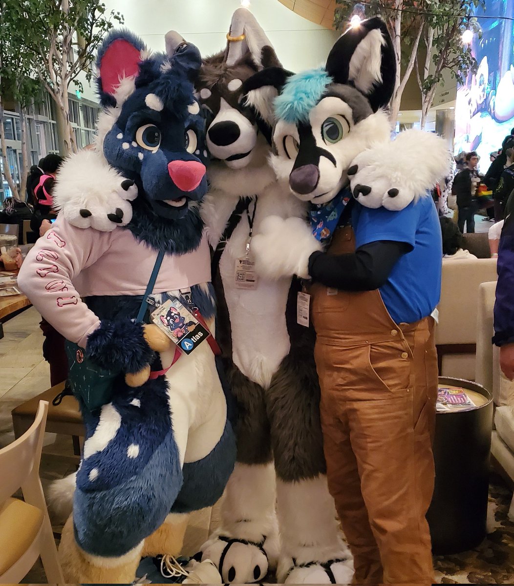 EchoAngelpaw's tweet photo. Now with 33% more dog! 🐶 https://t.co/YOEV9Uo7Ee