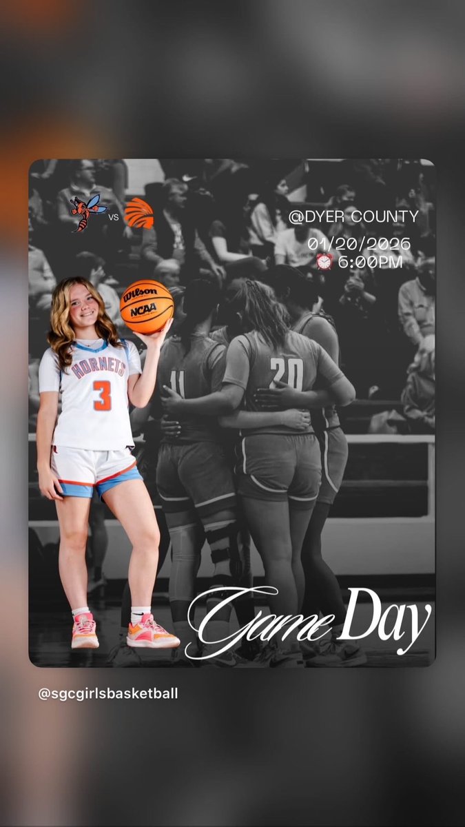 Hornet Sports Network tweet media