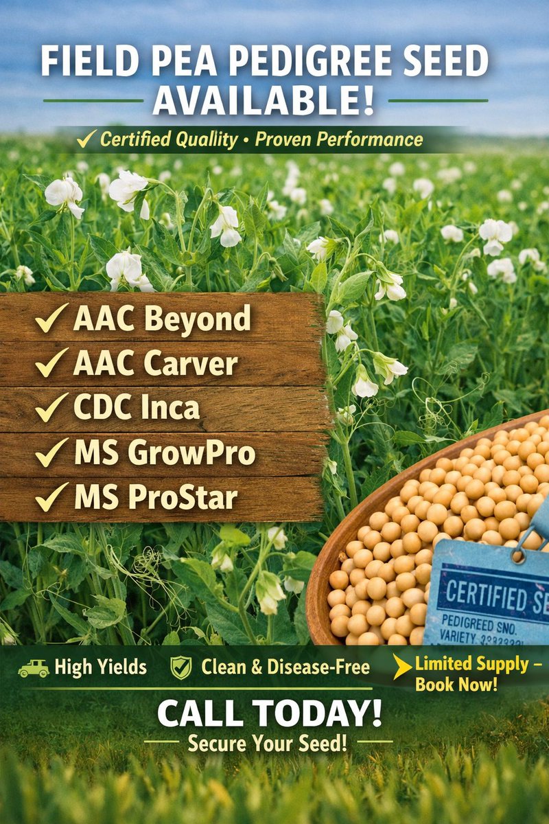 Meridian Seeds tweet media