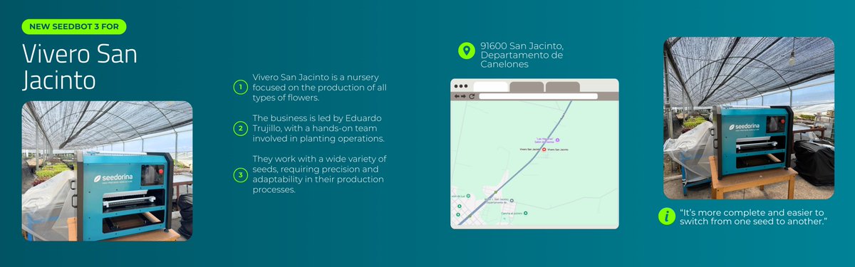 Seedorina tweet media