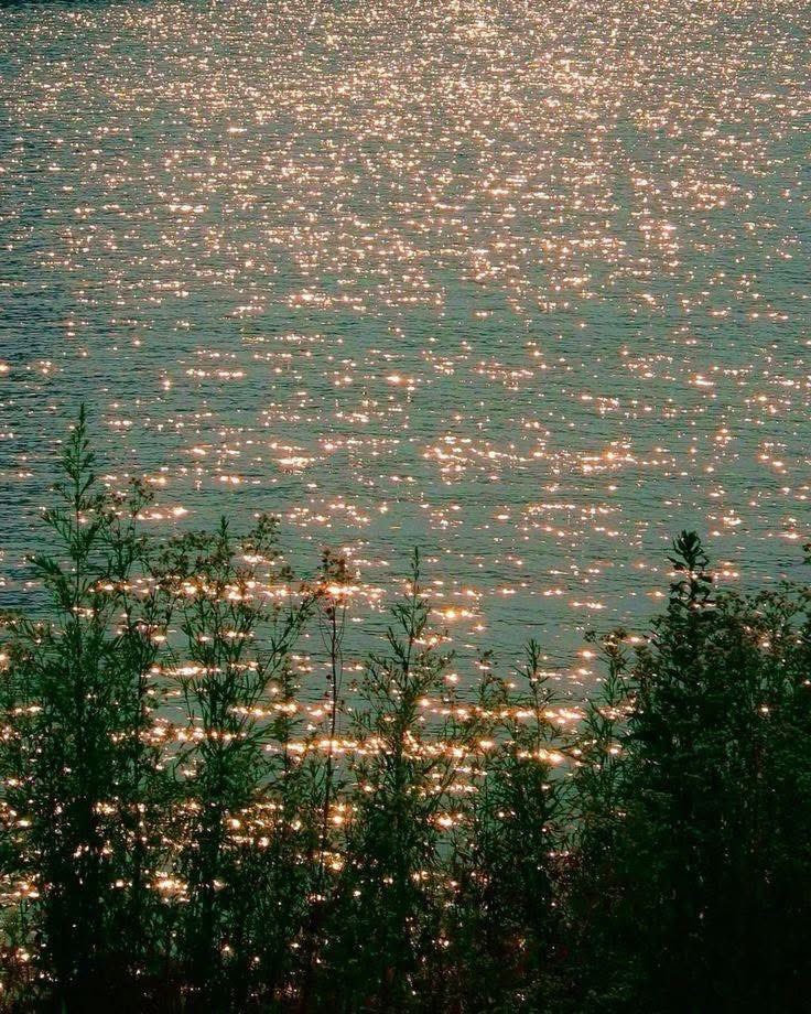 GaiaSerenity's tweet image. 