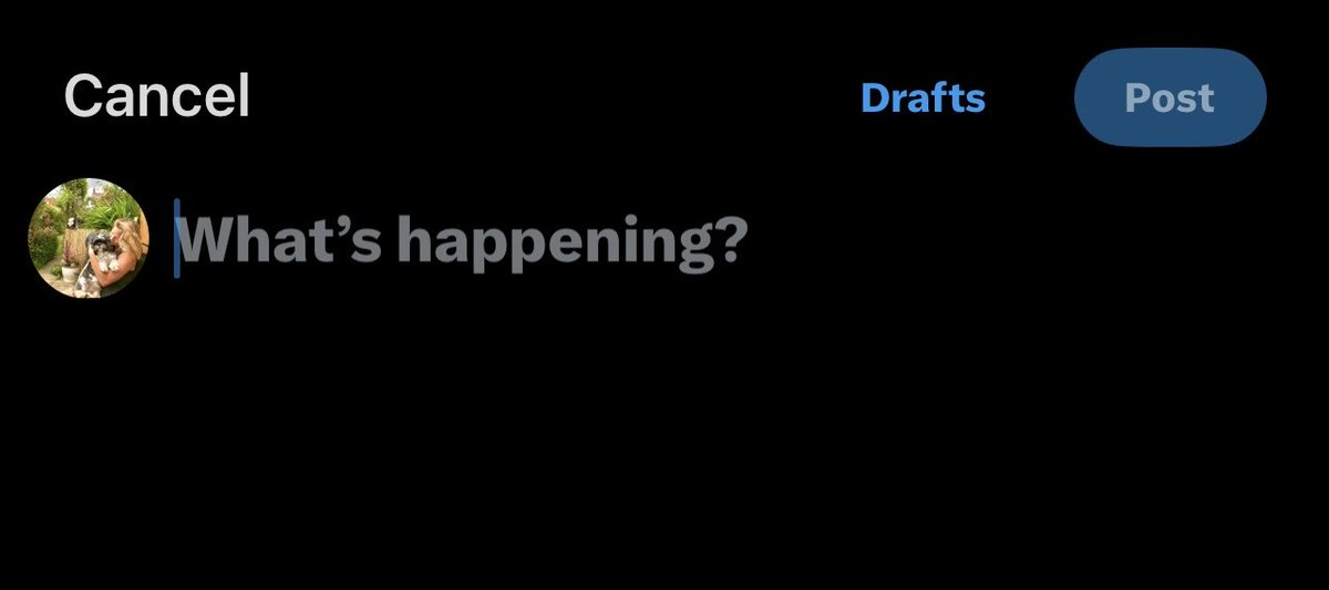 ___kat___'s tweet image. Couldn’t say it better myself. 🤷‍♀️🤯 #trump #bizarre