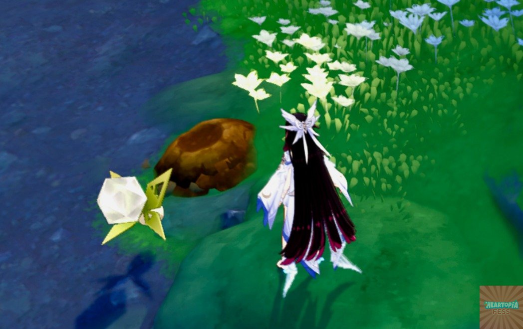 heartopia_fess's tweet image. ❤️ ketawa banget, sender tadi reflek nge-tap layar pas lihat ini.. ku kira truffle, tp kok ga ke ambil-ambil (lg main game sebelah padahal 🤣)