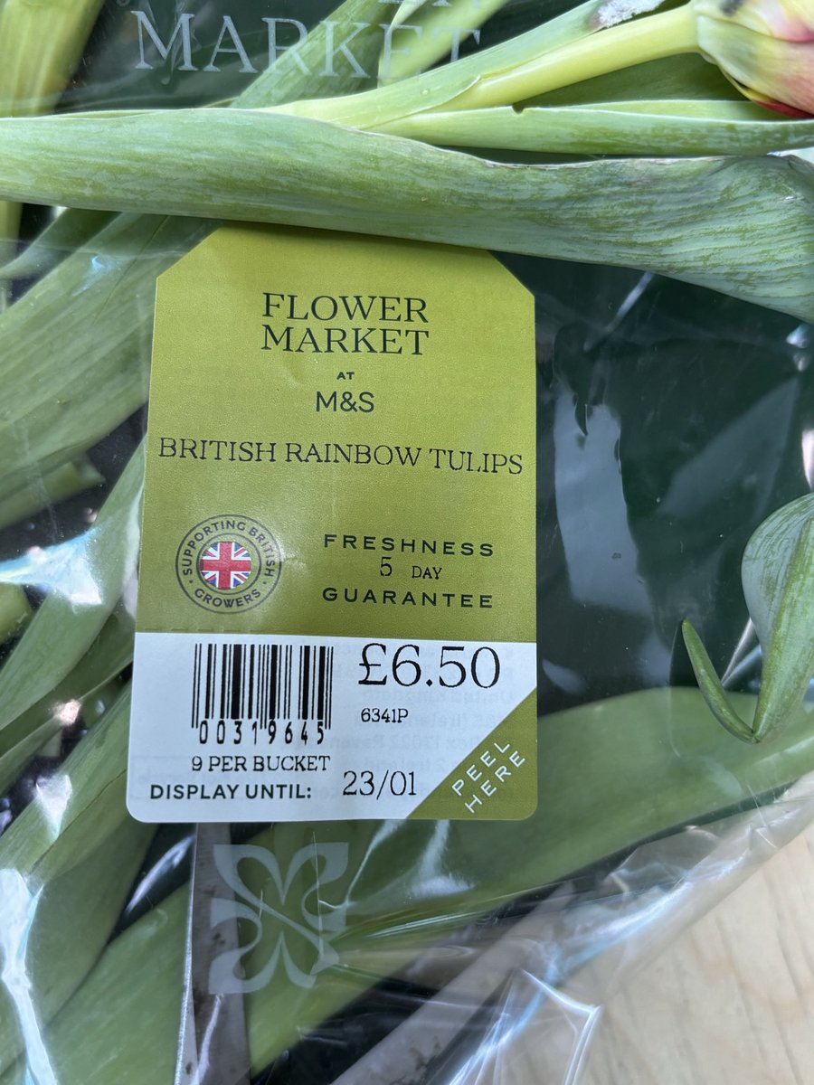 JoannaCB tweet media