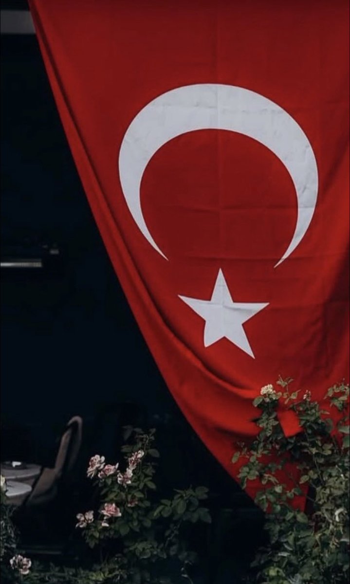 zamanyolcuusuu's tweet photo. Diz çöksün önünde Cihân-ı âlem, 
Şanınla çok yaşa göklerin sultanı ! #TürkBayrağı https://t.co/m33aO7KTA5