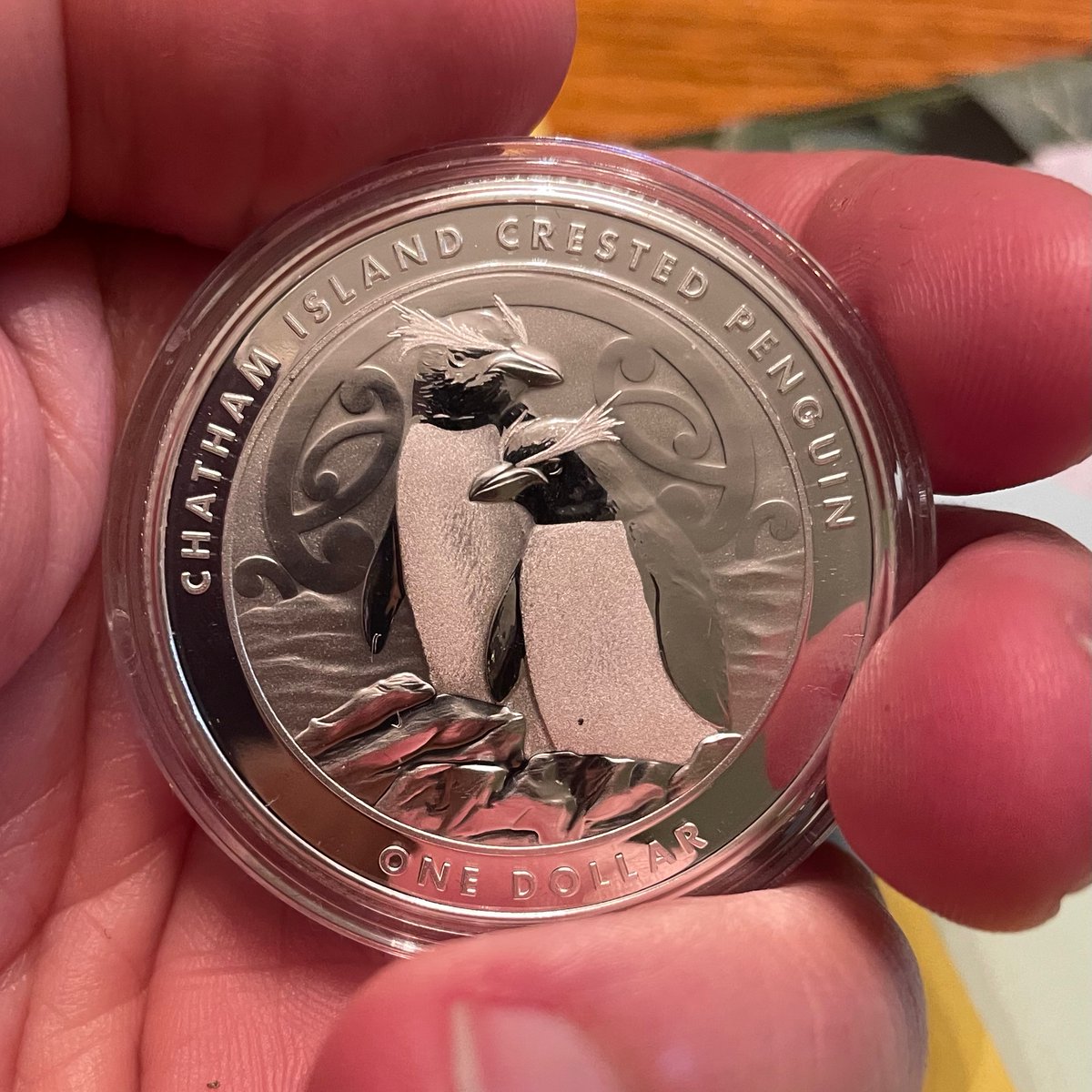 Daniel Ksepka tweet media