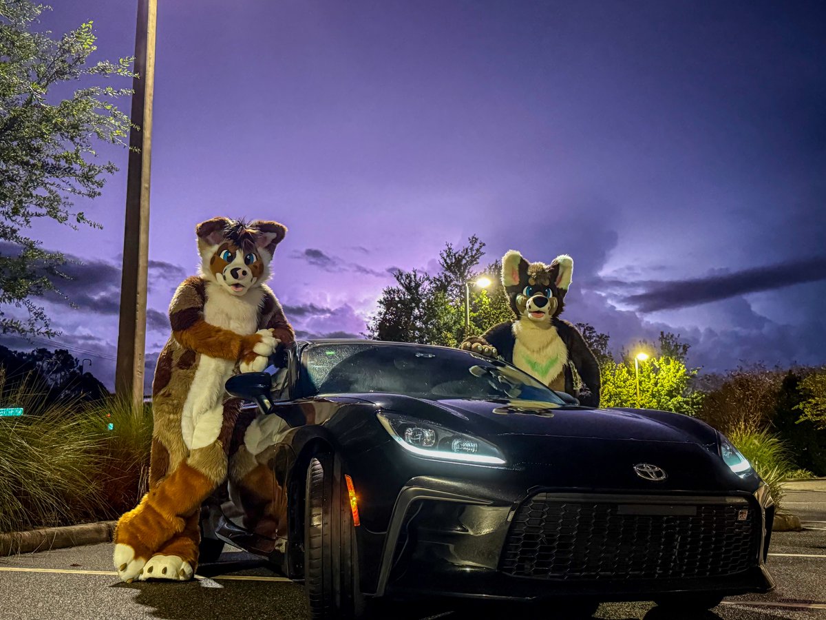 Lexie Doggo tweet media