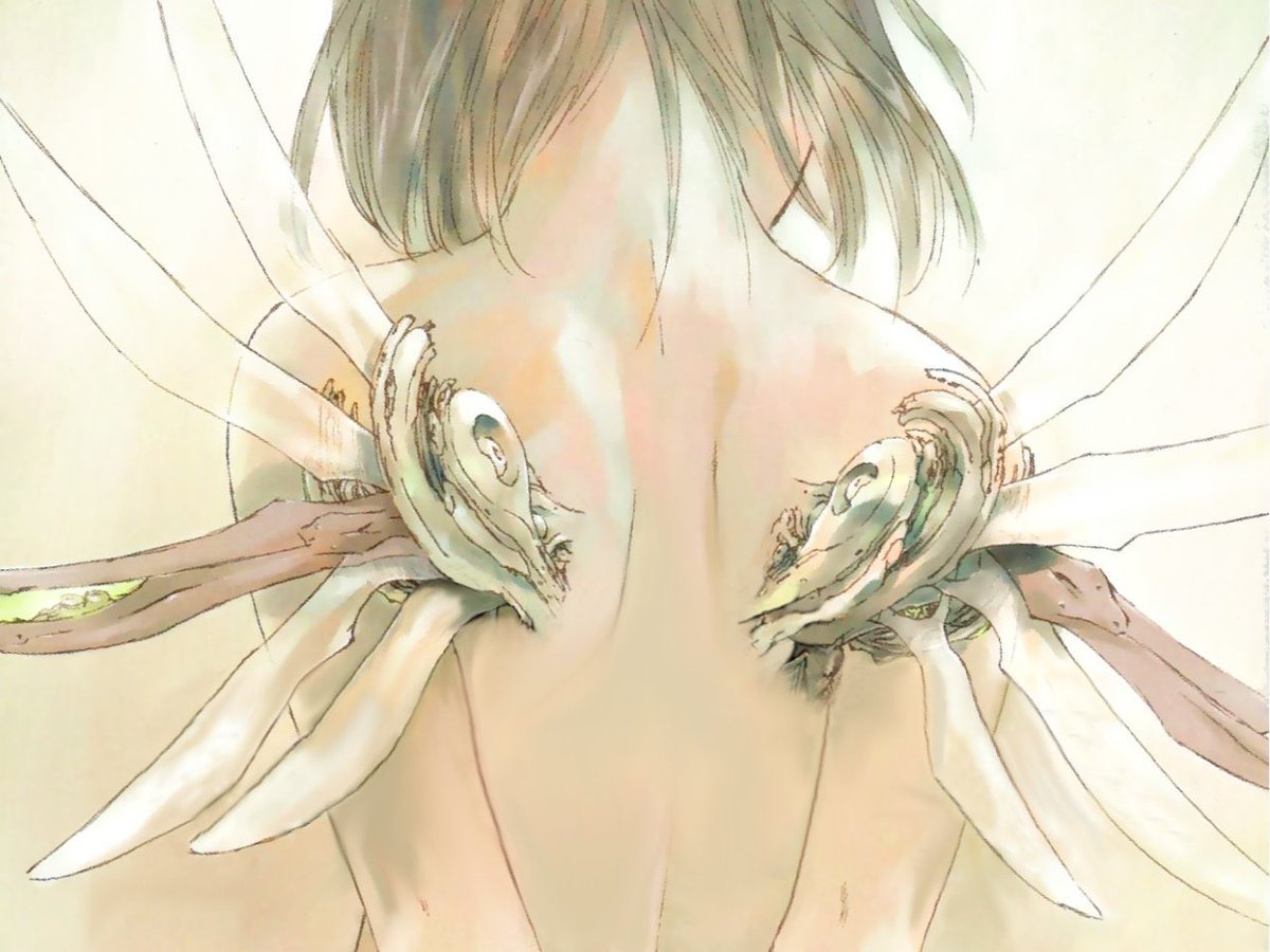 solisolsoli's tweet image. 