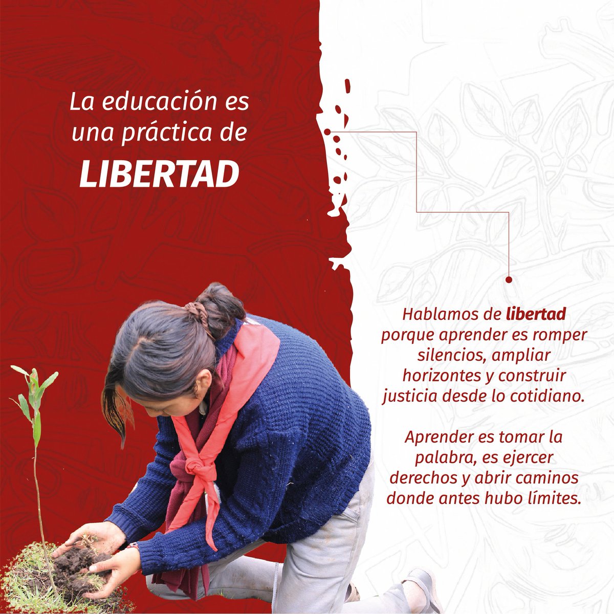 Fe y Alegría Ecuador tweet media
