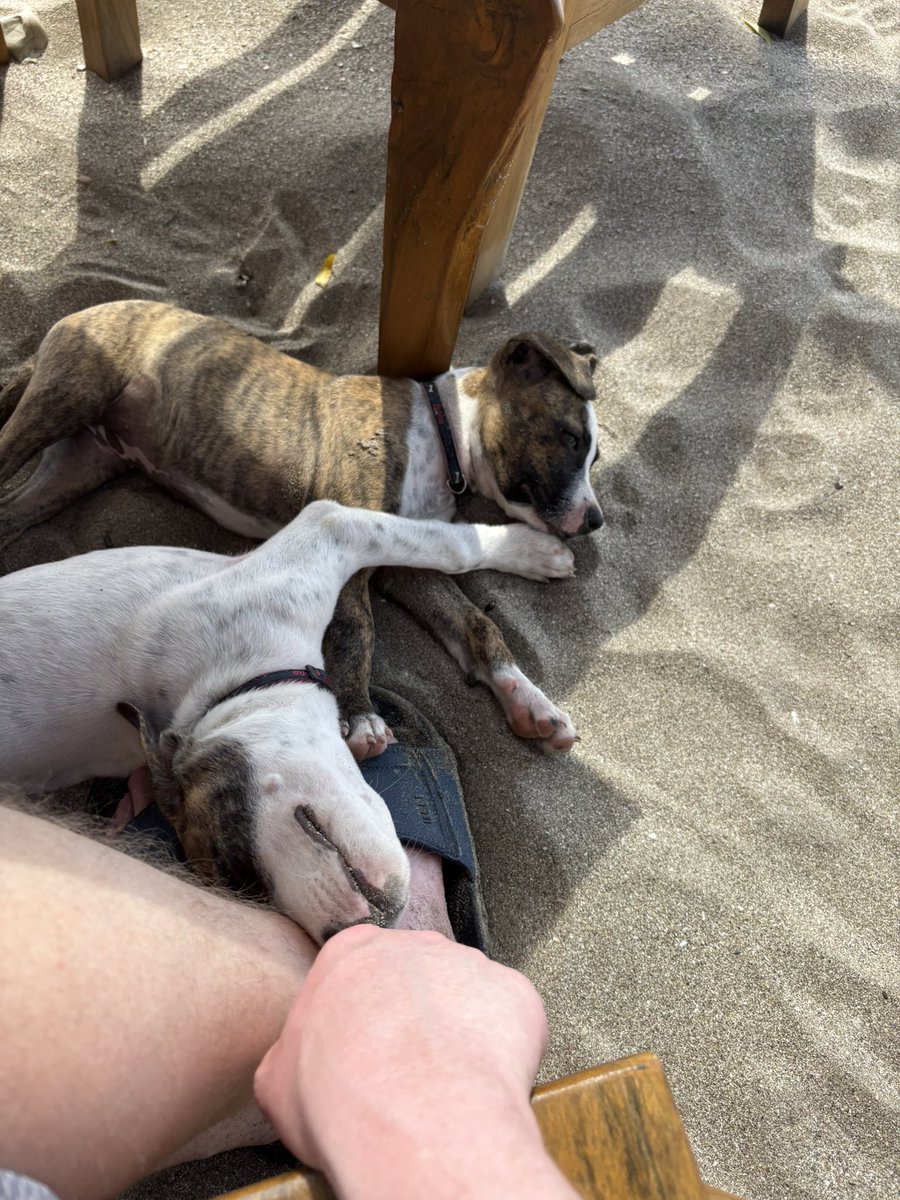 Made two new frenz at the beach today