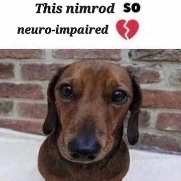 adi (@zachm222) on Twitter photo 