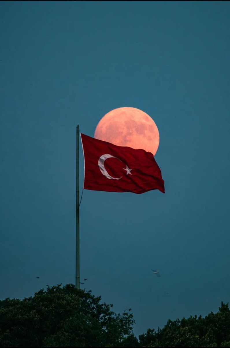 Bayrağı bayrak yapan, uğruna dökülen kandır.
Toprağı vatan yapan, uğruna can verenlerdir. 🇹🇷
 #TürkBayrağı