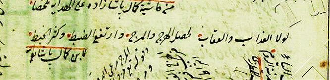 kemalpaşazâde:

şayet azap ve ceza olmasaydı, hercümerç (kargaşa ve keşmekeş) olur; düzen ortadan kalkar, savurganlık ve başıboşluk tavan yapardı.

"levle’l-‘azâbu ve’l-‘ikâbu le hasale’l-hercü ve’l-mercu ve’r-tefe‘a’z-zabtu ve kesura’l-habtu."
