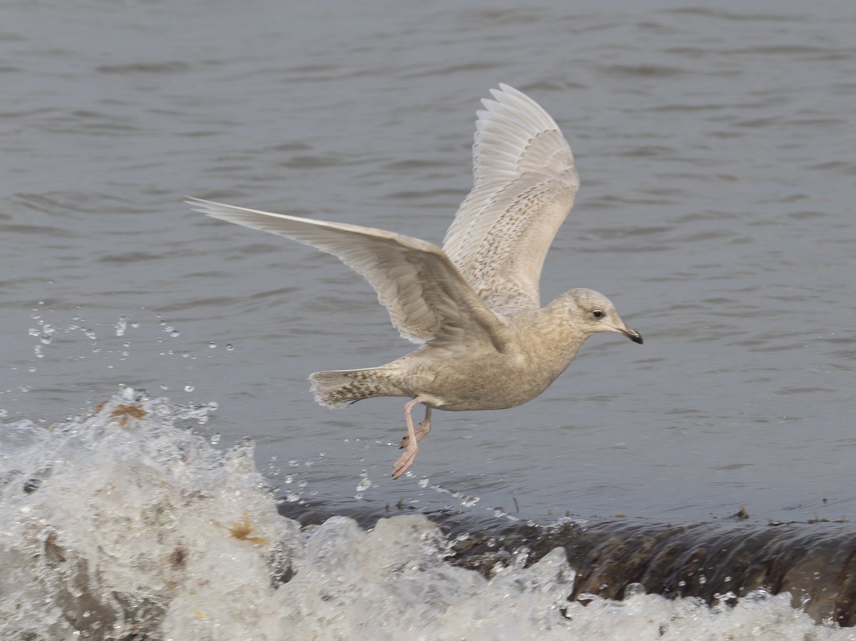 Andy Hale tweet media