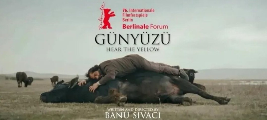 film_ve_ruya's tweet photo. "Öğretmenler Odası" ile gururlandıran İlker Çatak'tan 'Sarı Zarflar',
"Kurak Günler"den beri beklediğimiz Emin Alper'den 'Kurtuluş',
"Güvercin"le kalbimi fetheden Banu Sıvacı'dan 'Günyüzü',
Burak Çevik'ten 'iki Laborantın Yorgun Saatleri'
Berlin'de. 
Yolları açık olsun. https://t.co/GRcwtHEGd8