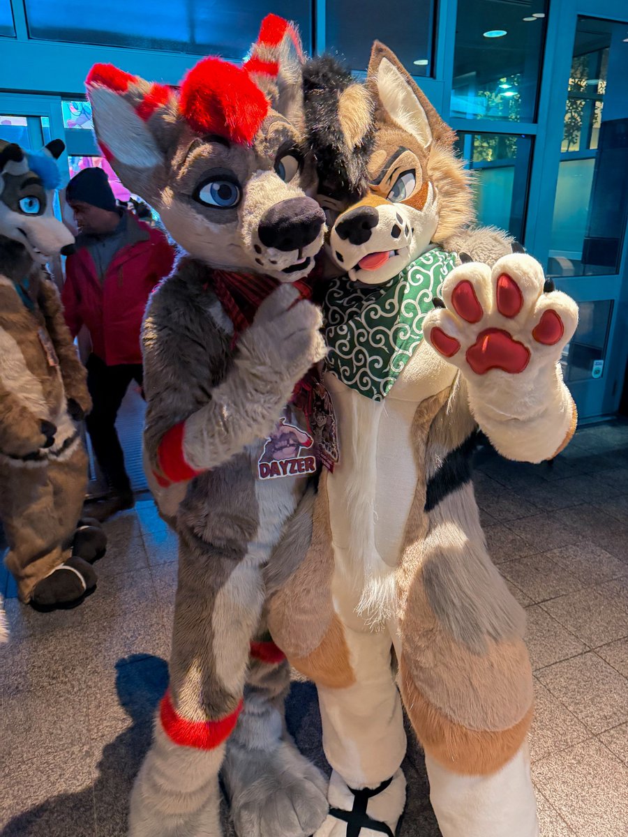 Dayzer 🔜 FWA tweet media