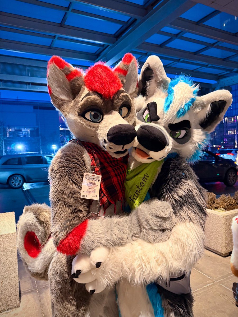 Dayzer 🔜 FWA tweet media