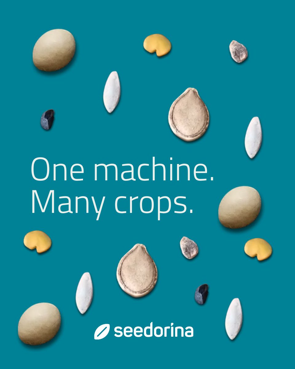 Seedorina tweet media