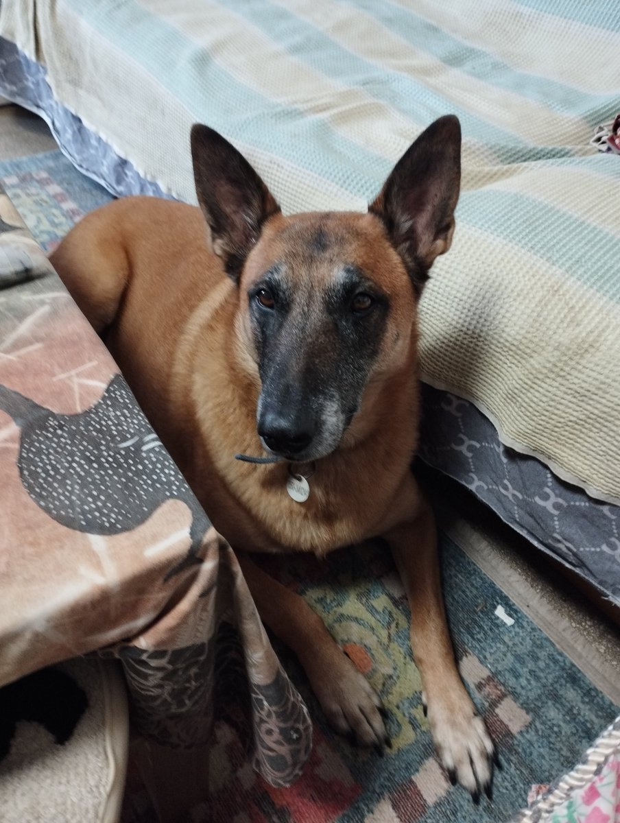 tormented twink samsara tweet media