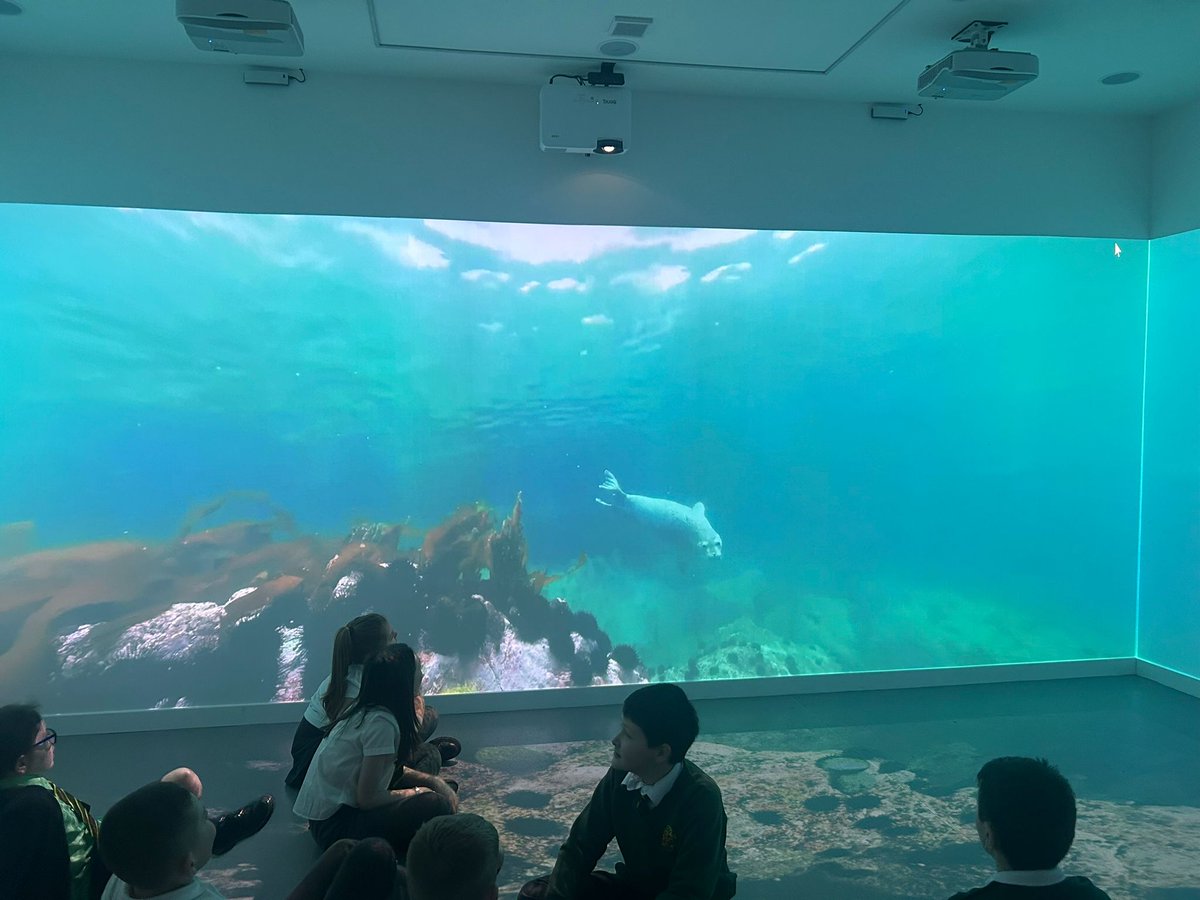 @stthomasprimary tweet media