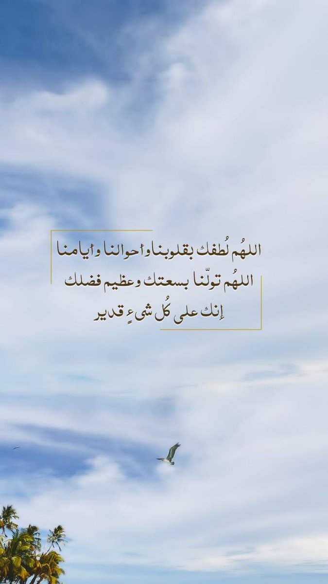 💛🖤 ȷᓗฺᓅ 🖤💛 tweet media