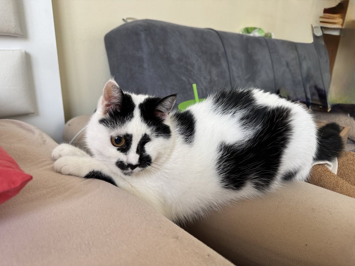 ben böle oduracam karısma