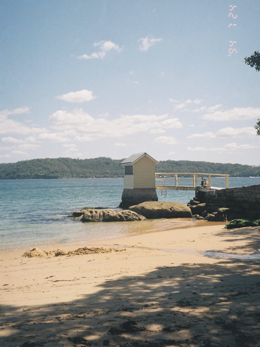 dsandy11's tweet image. 