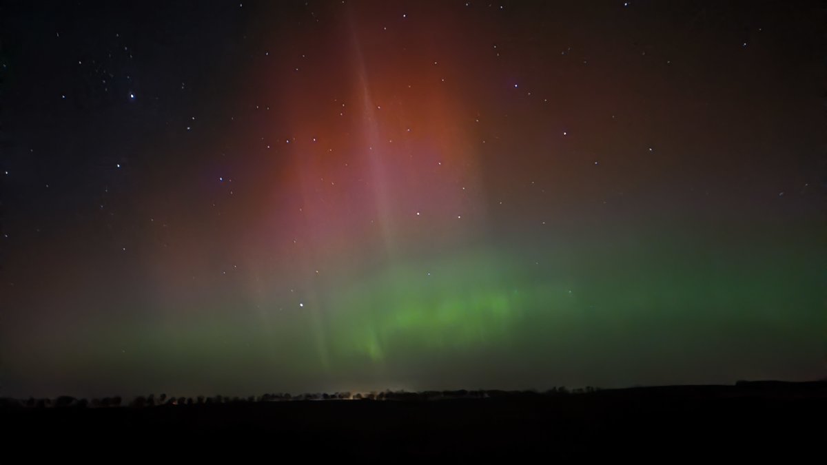 FreeWolf (@johnlocke1125) on Twitter photo 