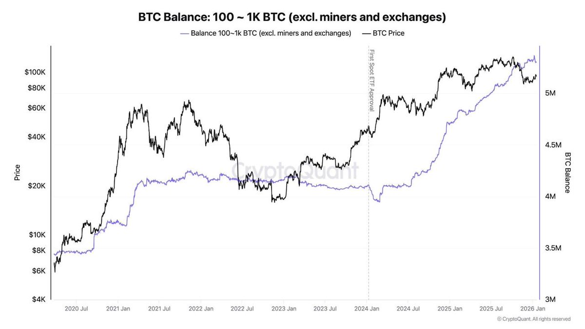 DATA: 🟠 #Bitcoin accumulation wallets holding between 100 $BTC and 1K $BTC  have seen a 33% increase over the last 24 months. Source: #crypto