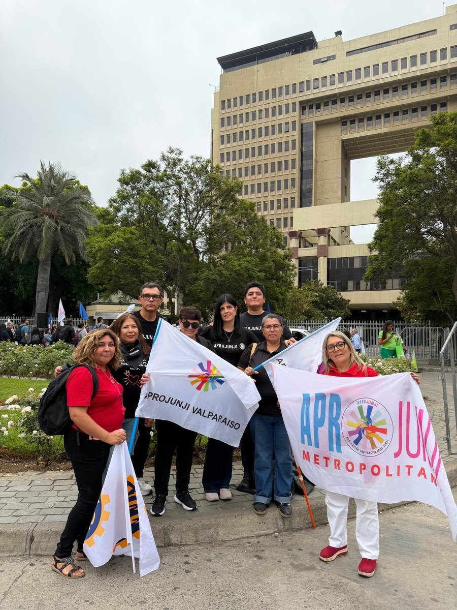 Aprojunji en Acción tweet media