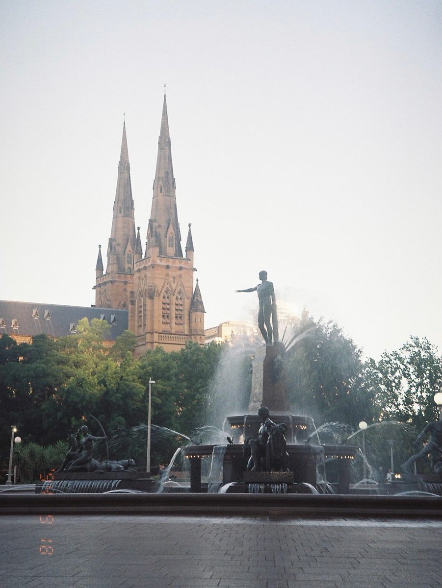 dsandy11's tweet image. 