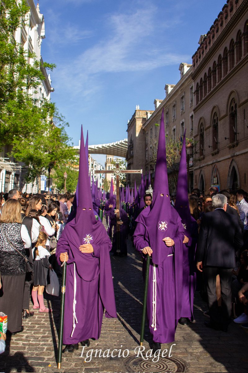 Es martes y no viene a cuento, pero hace tiempo que no lo digo y me apetece mucho volverlo a repetir.

Las túnicas del Valle son tela de elegantes.

📸 Ignacio Rangel.