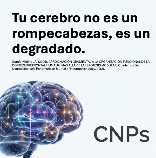 Cuad.Neuropsicología tweet media