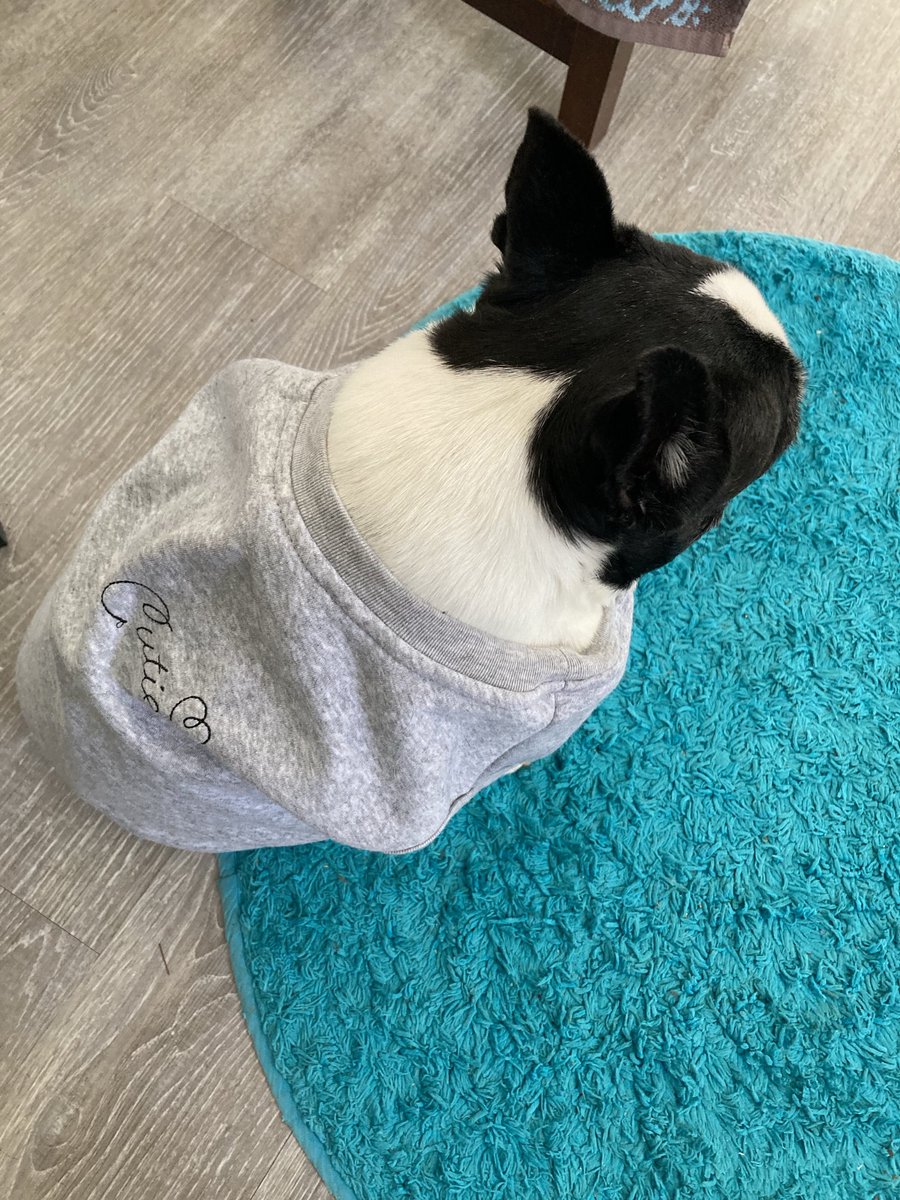 Minus zero degrees today. Lorna’s sweatshirt says ‘Cutie,’ which she is💜