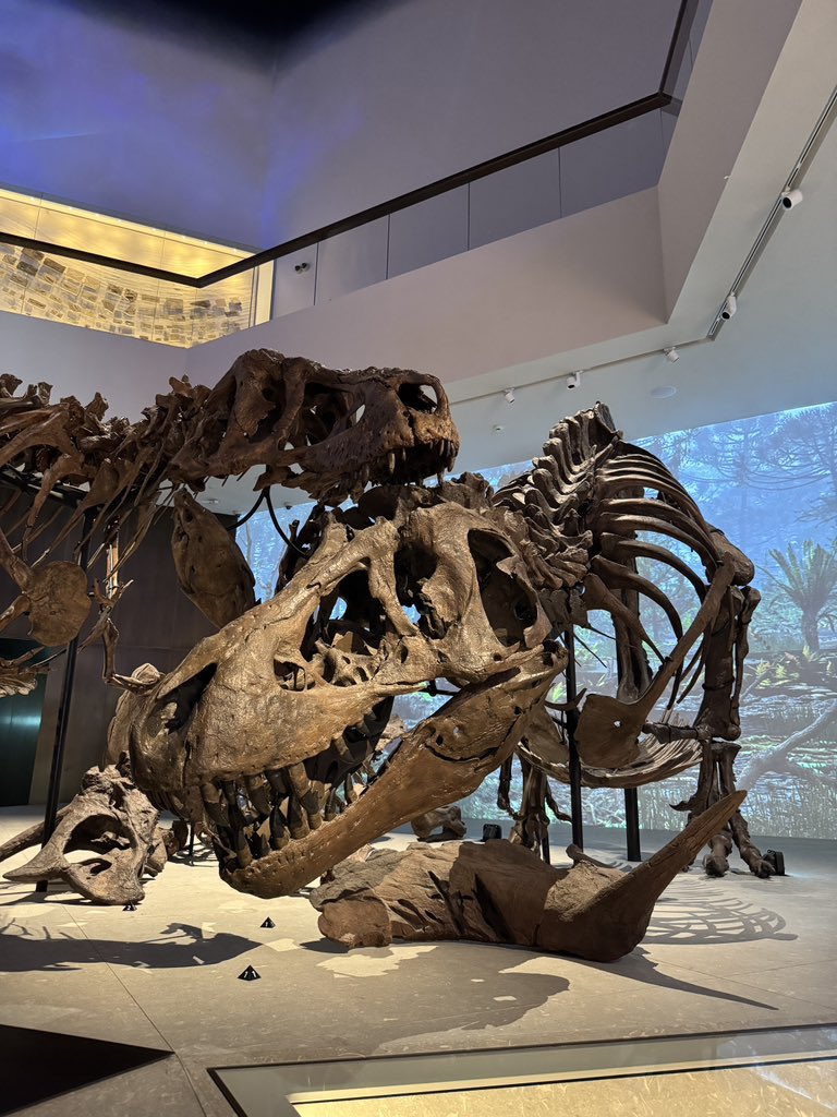 Nayef نايف tweet media