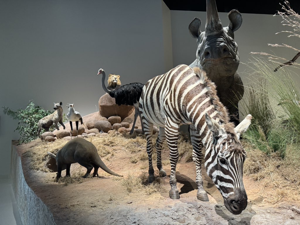 Nayef نايف tweet media