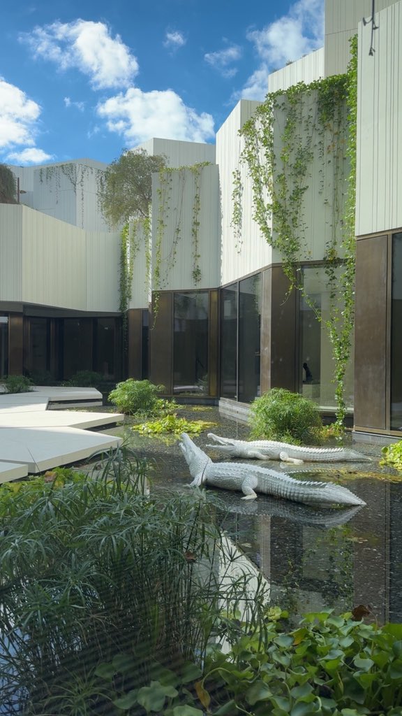 Nayef نايف tweet media