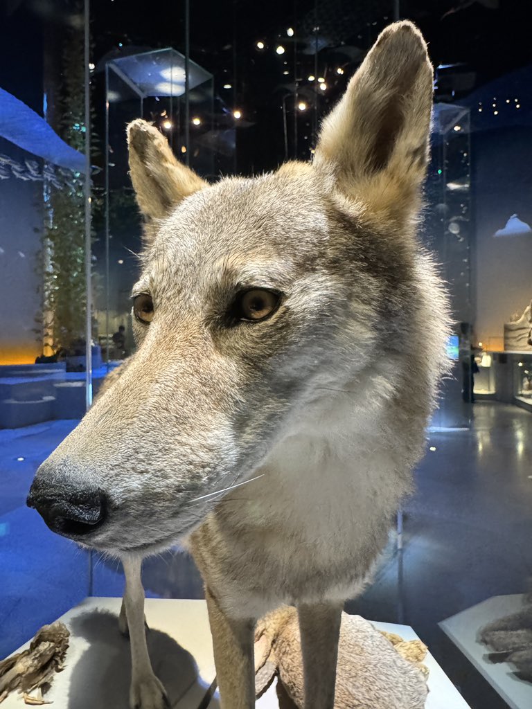 Nayef نايف tweet media