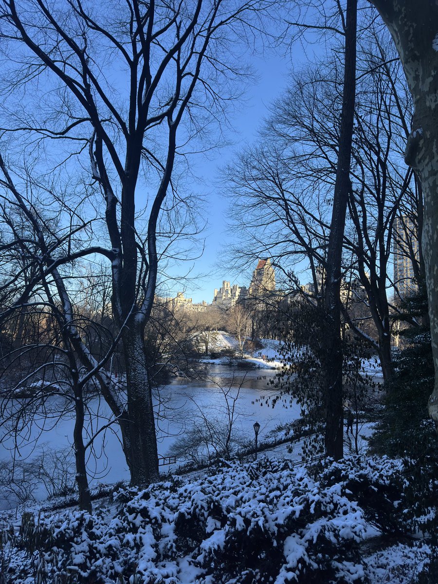 Chris Toro tweet media