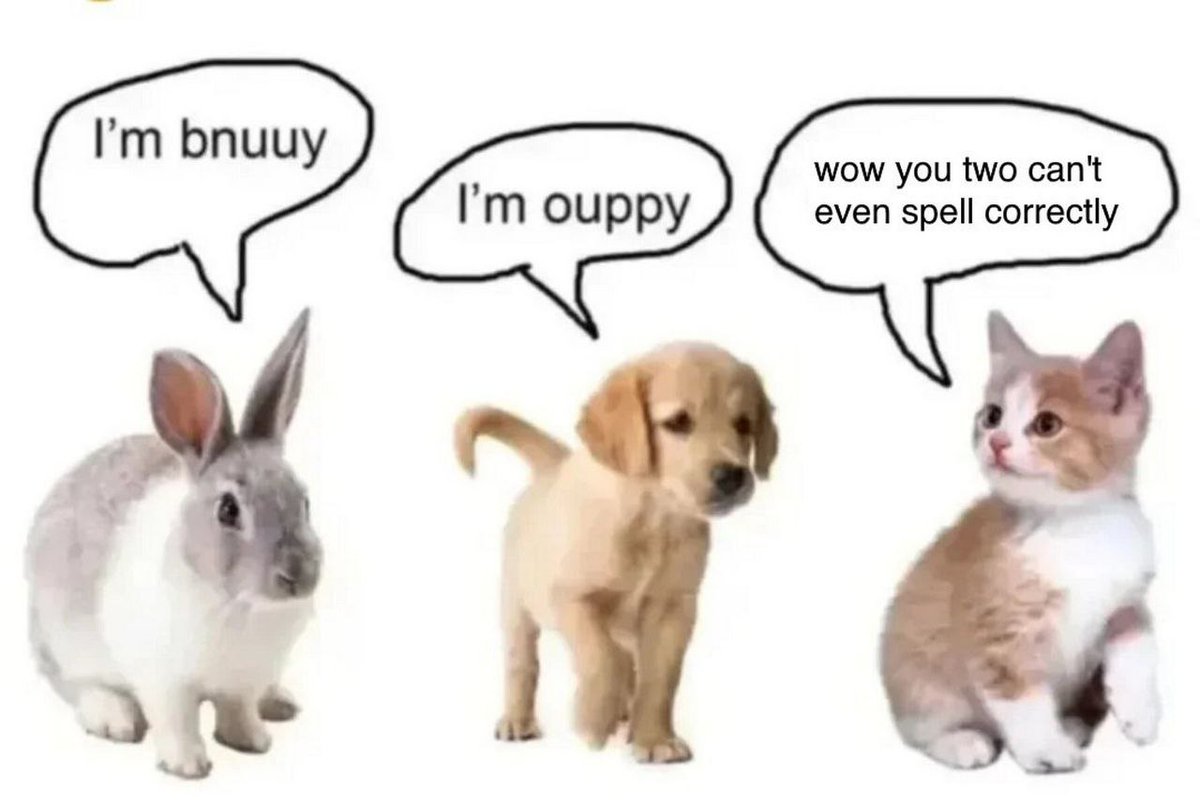 NoonTheWolf's tweet image. Car behavior 😔