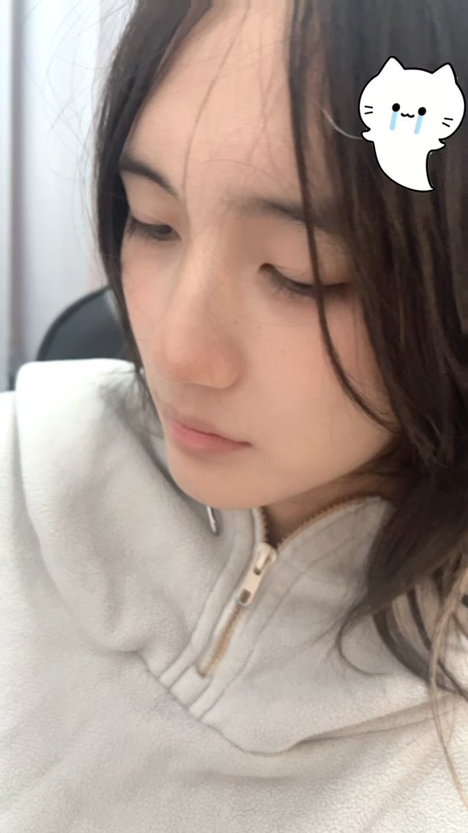 麦当劳双层吉士堡 tweet media