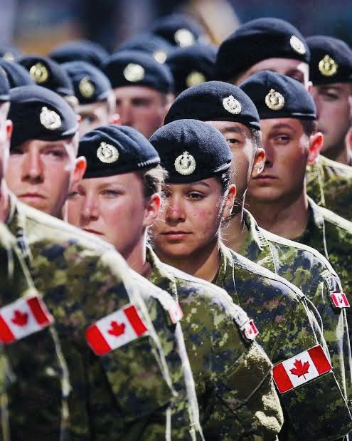 Megatron tweet media