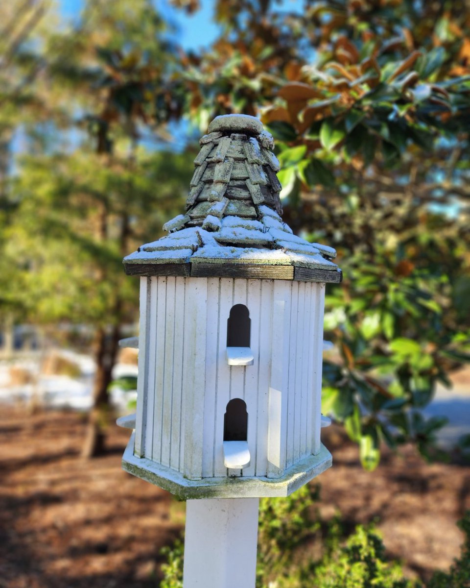 Bryce Lingo & Shaun Tull Team Rehoboth Real Estate tweet media